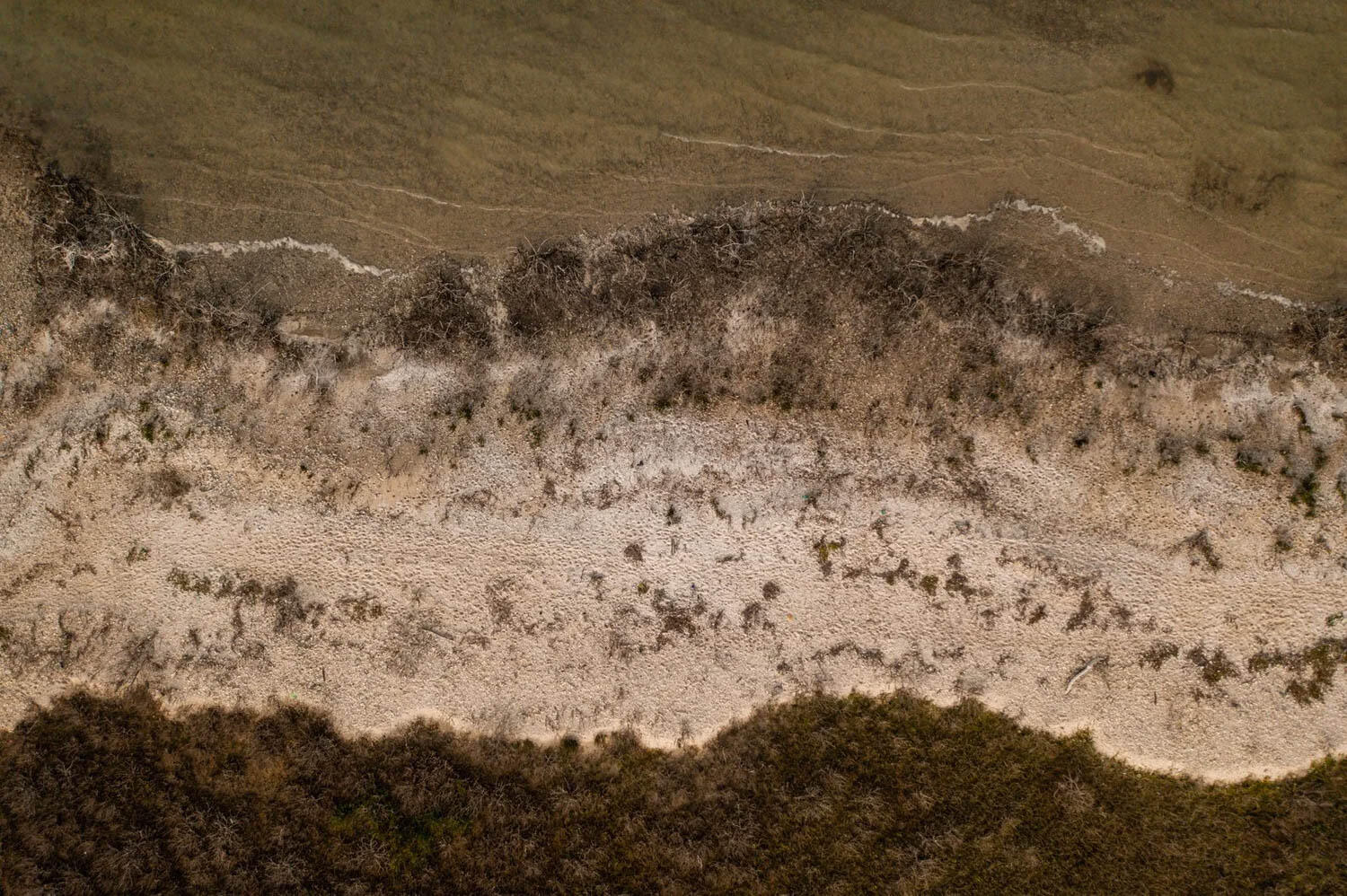 Shore of Port O'Connor for Yeti