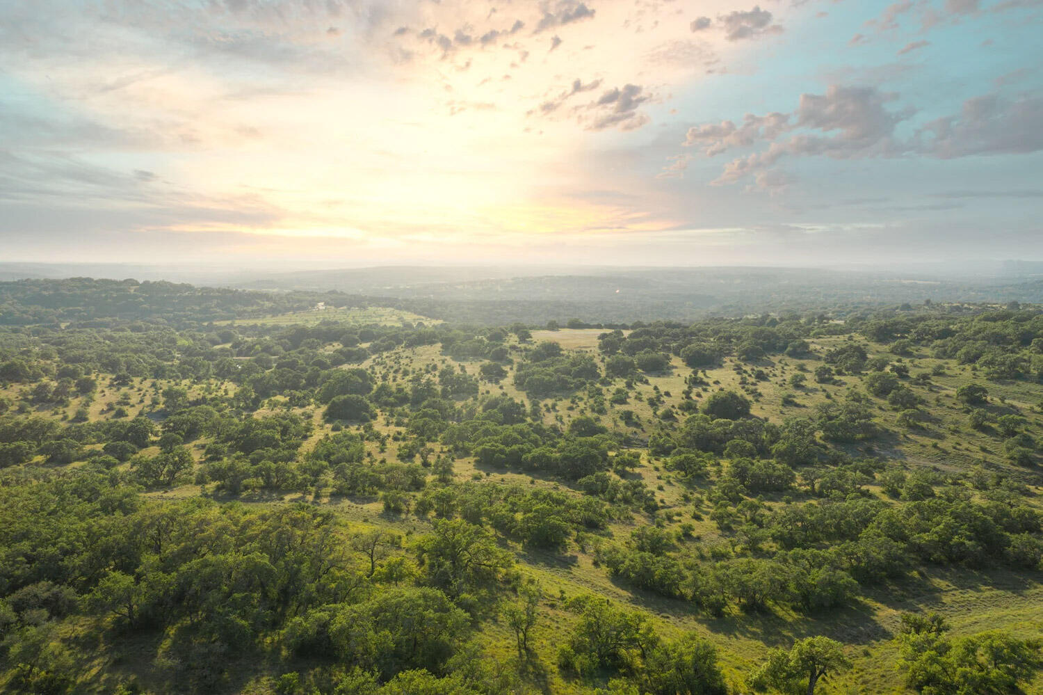 Texas Hill Country Landscape